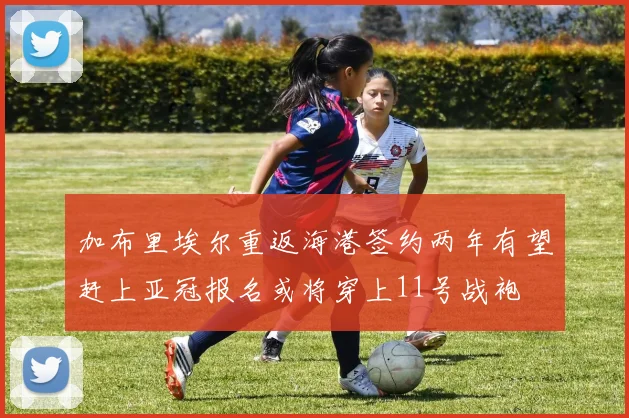 加布里埃尔重返海港签约两年有望赶上亚冠报名或将穿上11号战袍