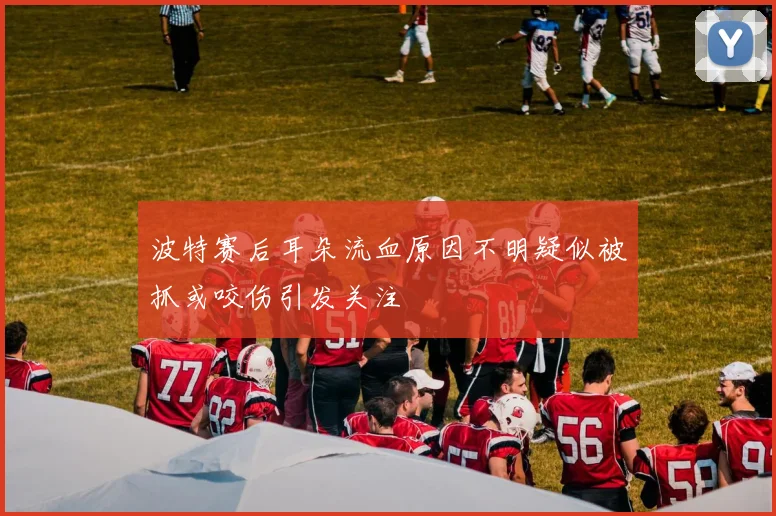 波特赛后耳朵流血原因不明疑似被抓或咬伤引发关注